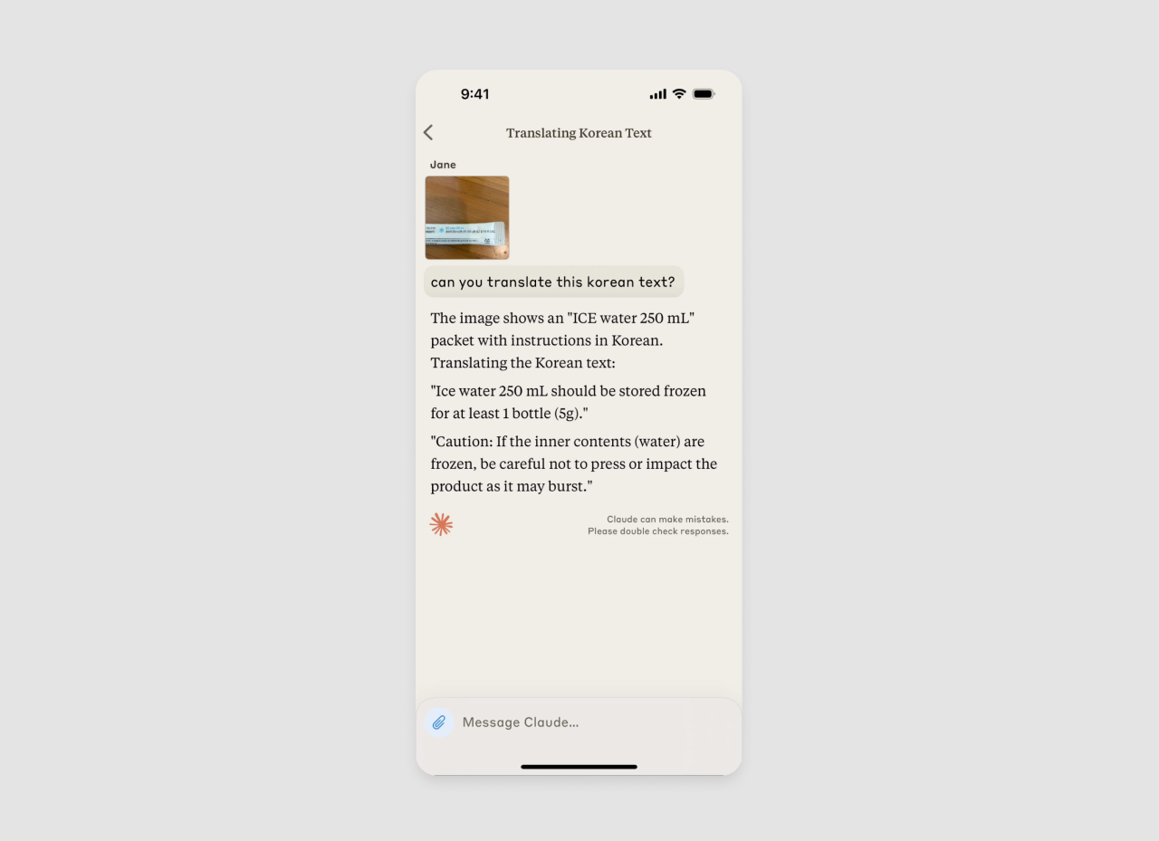 SpicyChat AI Data Privacy